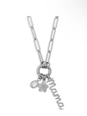 18K Gold PVD Stainless Steel Mama Charm Holder Necklace NWT Silver